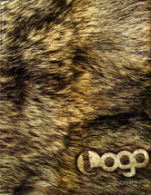 LOGO - Bear