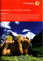Swissair - Daisies